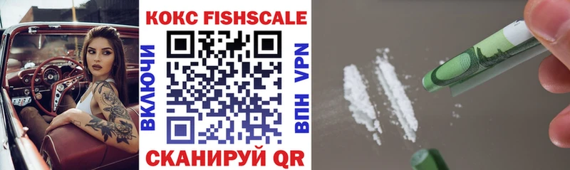 COCAIN Fish Scale цены кракен зеркало Малгобек