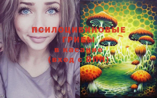 mdma Краснослободск