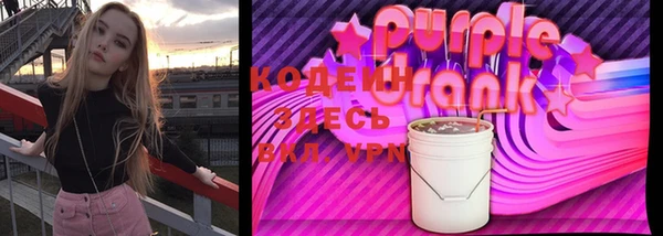соль ск Кулебаки